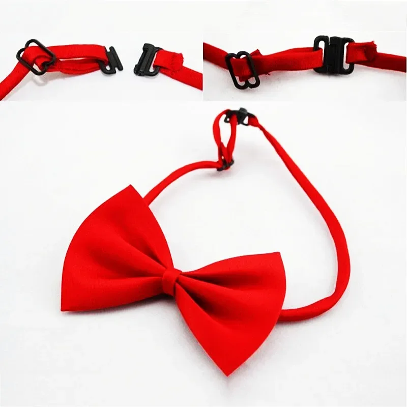 Collar lazo ajustable para perros y gatos - imagen 5