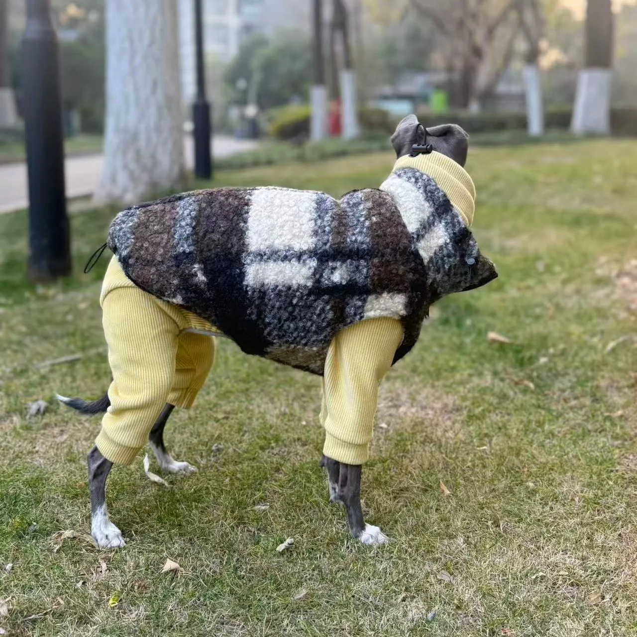 Abrigo forro polar para perro galgo italiano y whippet - imagen 4