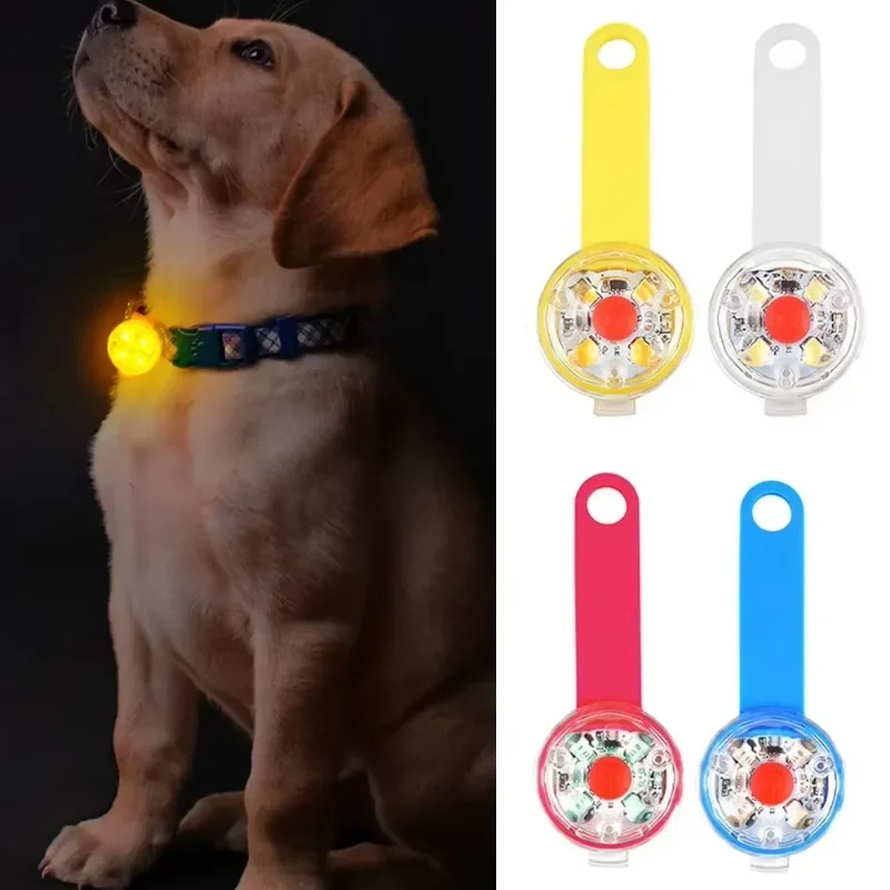 Collar de perro, collar de pérdida, luz de seguridad LED resistente a la intemperie, collar de luz LED recargable por USB, perro, gato, mascota - imagen 3