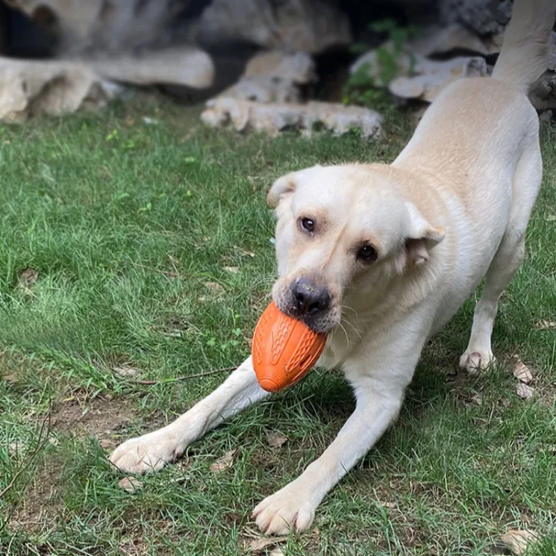 Juguetes de Rugby para perros, pelotas de goma interactivas duraderas para mascotas, juguete de molienda de dientes resistente al masticable para cachorros, suministros de juego, productos de pelota para perros - imagen 3