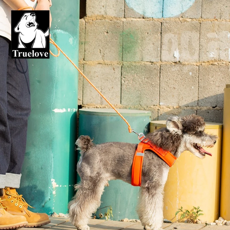 Correa retráctil manos libres para perros – Nailon ligero con agarre