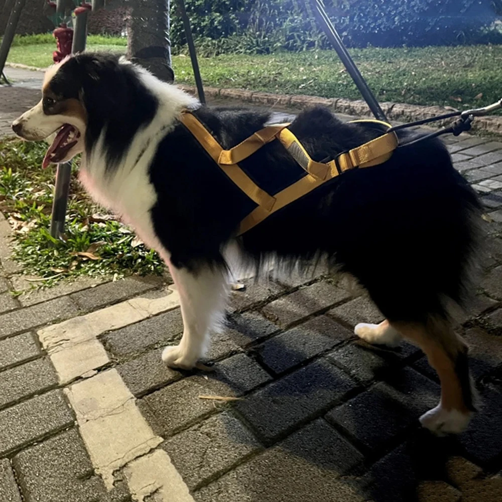 Arnés de trineo para perros grandes de alta calidad, arneses para esquiar y correr para perros medianos y grandes, accesorios para mascotas Bulldog Alaska Hound - imagen 5