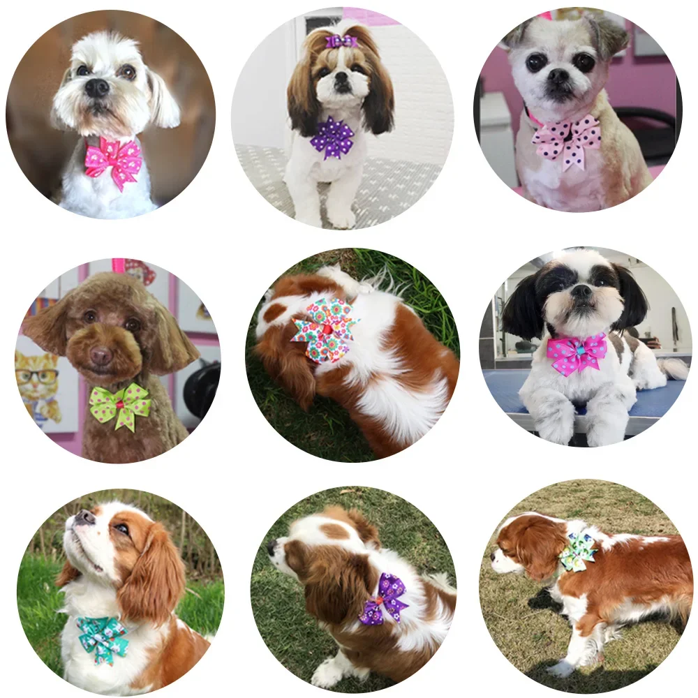 50 Uds pajarita para perro punto pajarita sólida Collar para perros pequeños pajaritas DIY corbata accesorios de aseo para mascotas para perros pequeños - imagen 2