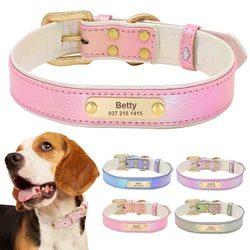 Collar grabado ajustable para perros y gatos – Personalizable