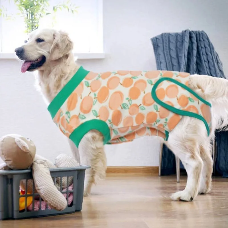 Ropa de enfermería para recuperación de perros después de la cirugía, rehabilitación quirúrgica, disfraz de ingeniería, productos para mascotas, monos suaves de algodón - imagen 2
