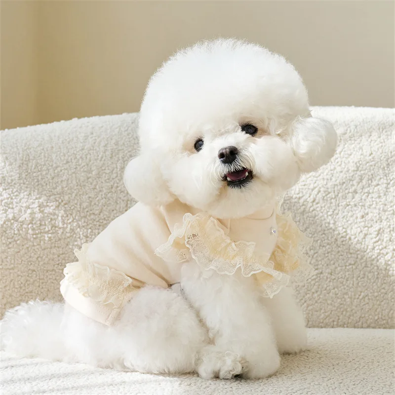 Camisa inferior de manga voladora de encaje para primavera para mascotas, camiseta sin mangas colorida bonita, camiseta inferior de peluche para mascotas, camiseta para gatos, ropa para cachorros - imagen 5