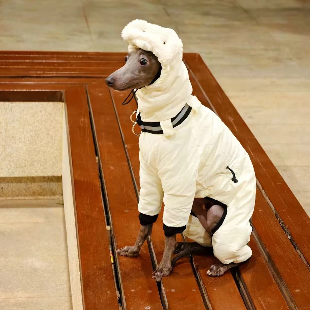 Sudadera de invierno para perros: Galgo Italiano y Whippet mediano
