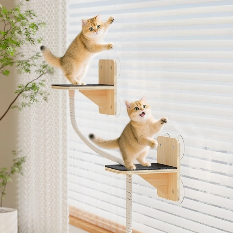 Árbol colgante para gatos con ventosa, accesorios para árboles de gatos de interior, hamaca para gatos, ventana, muebles para gatos y gatitos, poste rascador de juguete - imagen 5