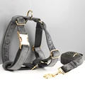 Harness leash31