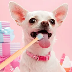 Cepillo dental 360° para gatos y perros – Cerdas suaves