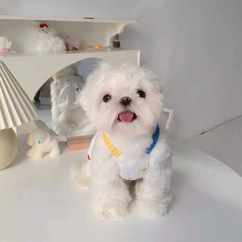 Lindo verano blanco chica Mascotas vestido de calabaza ropa para mascotas perros falda colorida ropa para perros disfraz de gato tirantes finos de Labrador