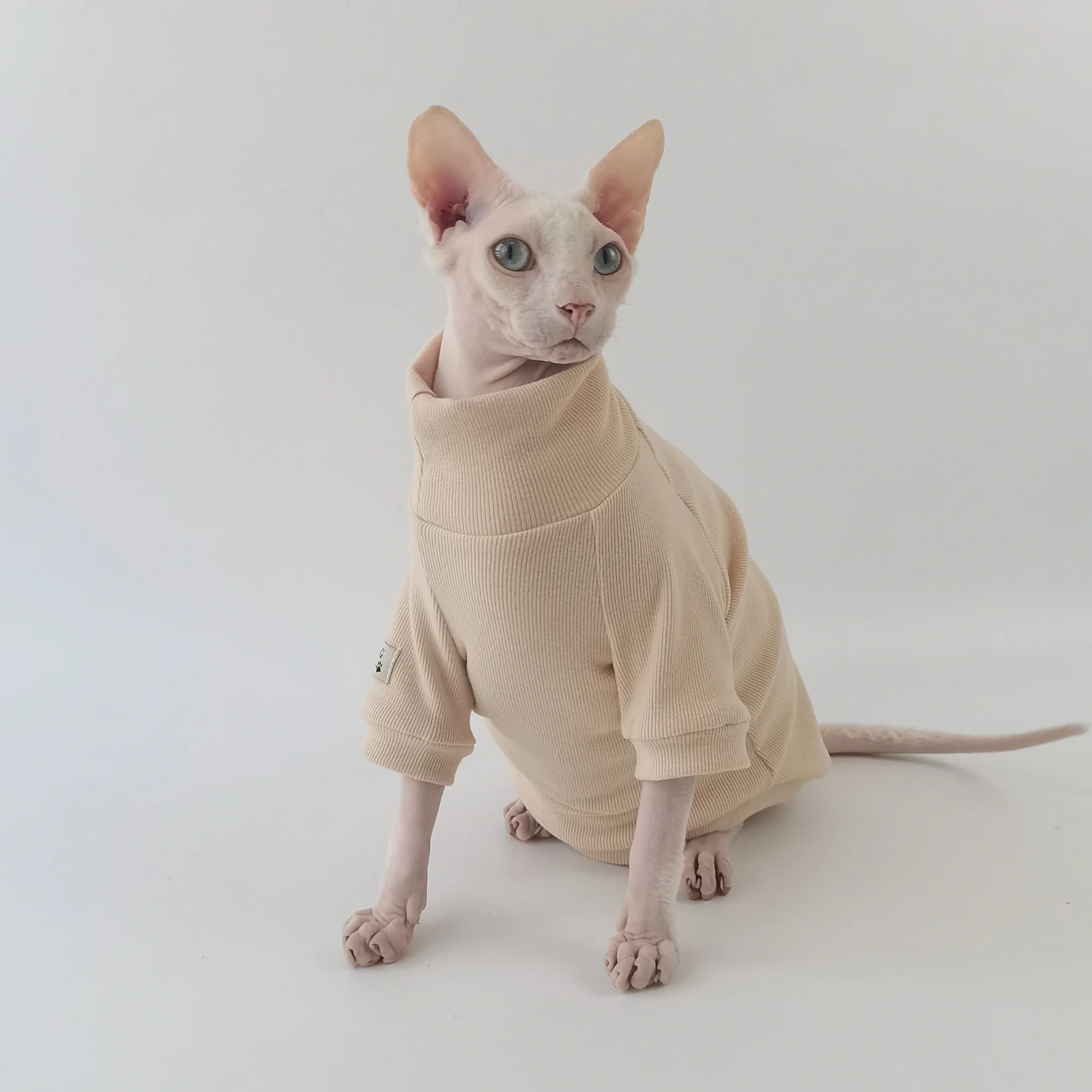 Camiseta de algodón caqui para gatos Sphynx y Devon Rex - manga larga - imagen 4