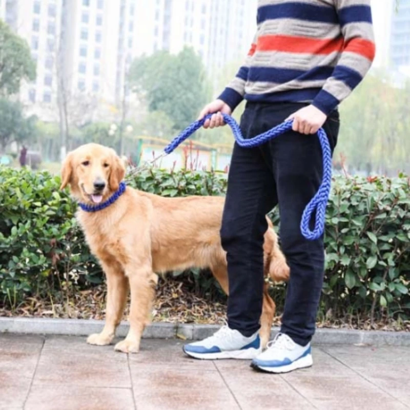 Collar de entrenamiento para perros trenzado de nailon mejorado, cadena P ajustable para perros medianos/grandes, fuerte y cómodo para uso interior/exterior - imagen 4