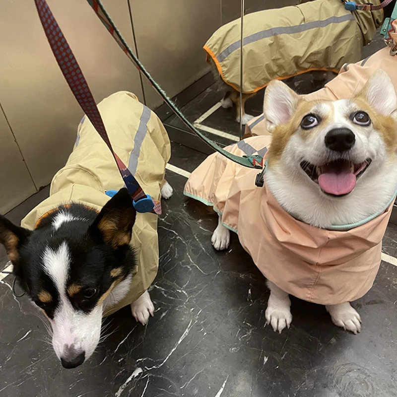 Chubasquero reflectante para perros, chubasquero de tracción, impermeable, chaqueta para gatos a prueba de viento para perros medianos y grandes, mono de ropa - imagen 3