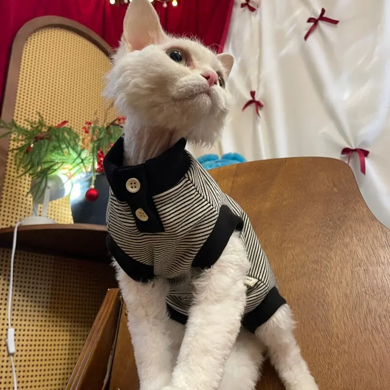 Body de punto para gatos sin pelo Sphynx y Devon Rex – Protección abdominal
