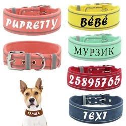 Collar personalizado con nombre para perros medianos y grandes