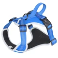 Blue Dog Harness