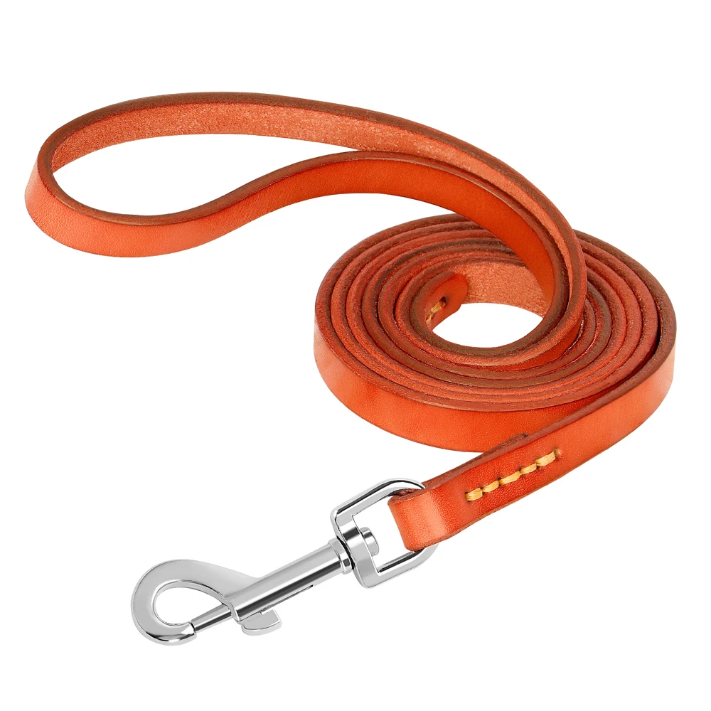 Brown Leash
