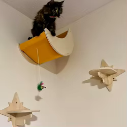 Árbol rascador de pared para gatos – Plataforma, escalera y hamaca