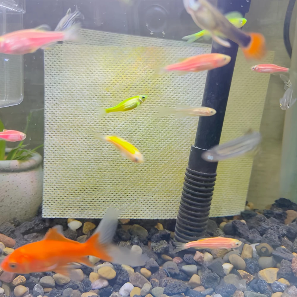 30/50 unids/set papel de purificación de agua de acuario filtración de tanque de peces eliminación eficiente de impurezas absorbe las manchas seguras para peces - imagen 3