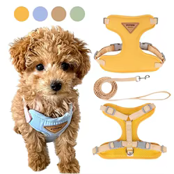 Conjunto arnés con correa transpirable para perros pequeños y gatos