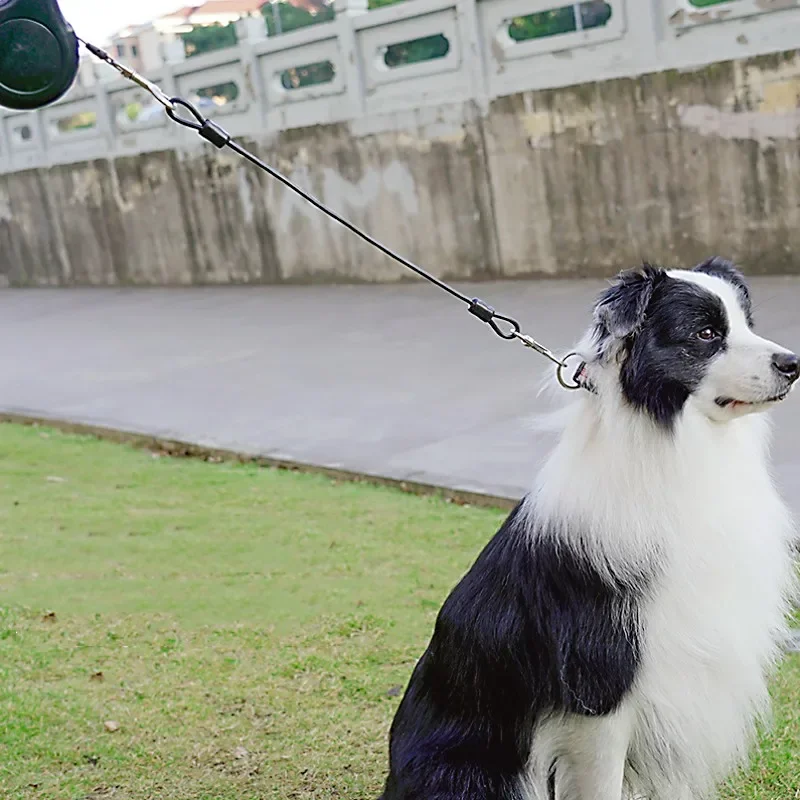Correa para perro, correas extensibles de 45cm, correas antimordeduras para perros, correa de cuerda de alambre de acero inoxidable para perros que caminan, cadena para perros, accesorios para mascotas - imagen 3