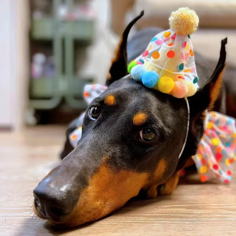 Sombrero para fiesta de cumpleaños para mascotas, babero de encaje con puntos para gatos, gorro de disfraz para perros pequeños y medianos, productos para mascotas, accesorios para cachorros - imagen 5