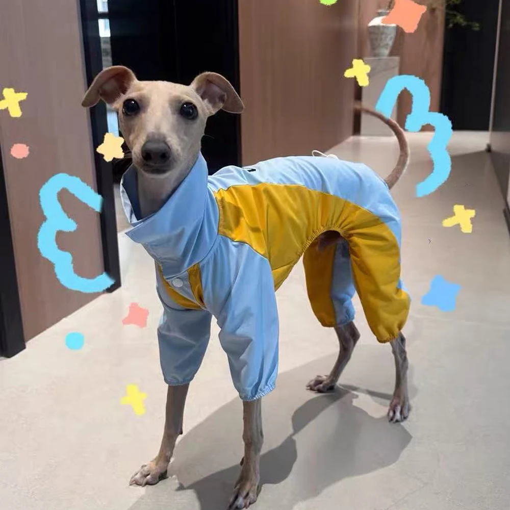 Chaqueta cortavientos azul-amarilla para galgo italiano, abrigo de 4 patas, sudadera suave para perros pequeños y medianos Whipbit - imagen 4