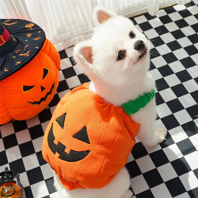 Halloween calabaza linterna ropa para perros disfraz de transformación Cosplay divertido gato Teddy perro eventos especiales ropa trajes cómicos - imagen 4