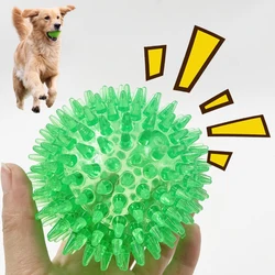 Bola elástica resistente para Bulldog Francés, Pug y perros medianos