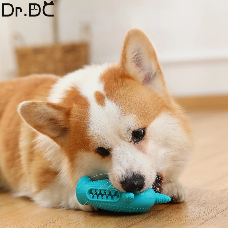 Dr.DC-juguetes de Limpieza de dientes para mascotas, palo Molar para perros, masajeador de limpieza, cepillo de dientes para cachorros, juguete para masticar - imagen 3
