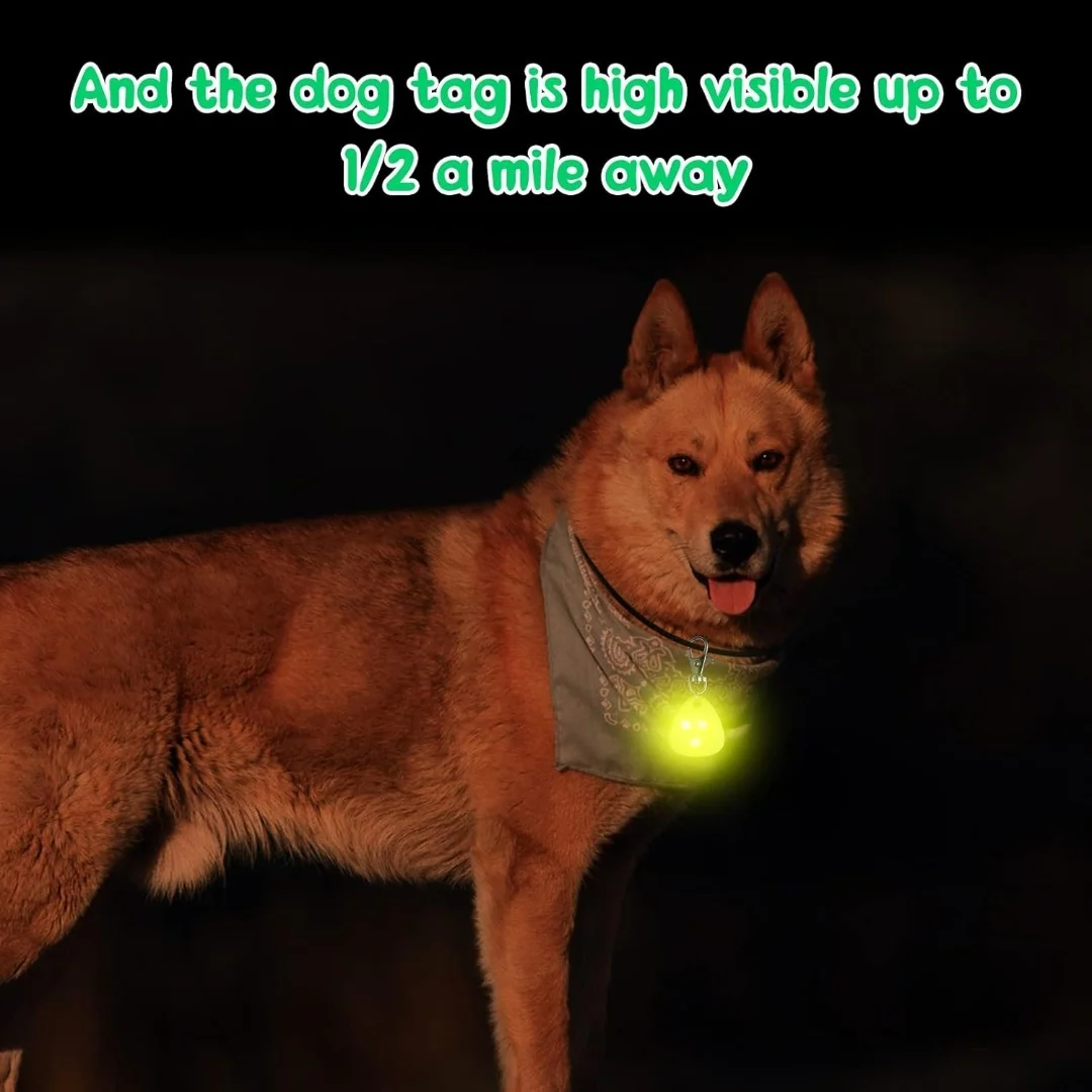 Collar LED luminoso impermeable para perros – Seguridad nocturna - imagen 3