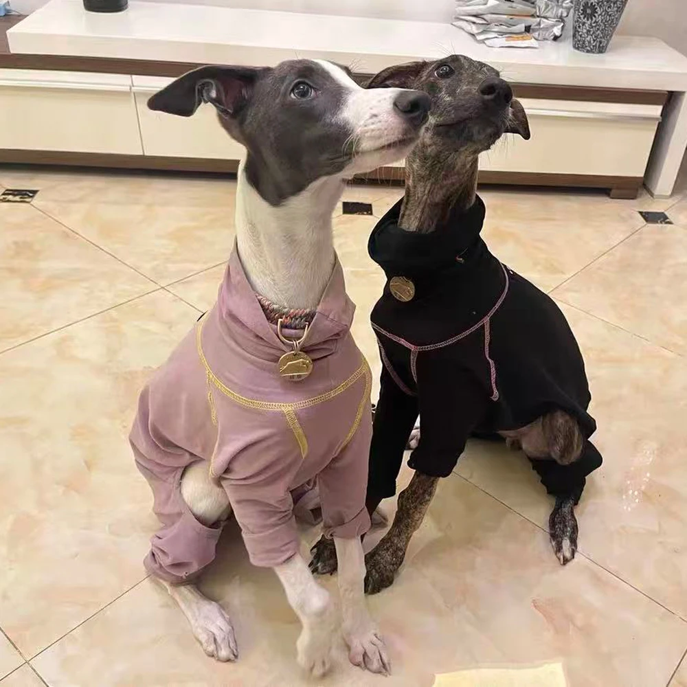 Sudadera de algodón de otoño de 4 patas para medios pequeños, mono de cuello alto suave y cálido de galgo italiano grande para Whippet en invierno - imagen 5