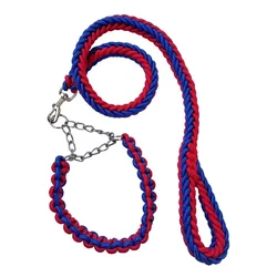 Correa para perros pequeños y medianos con collar de cadena y cuerda