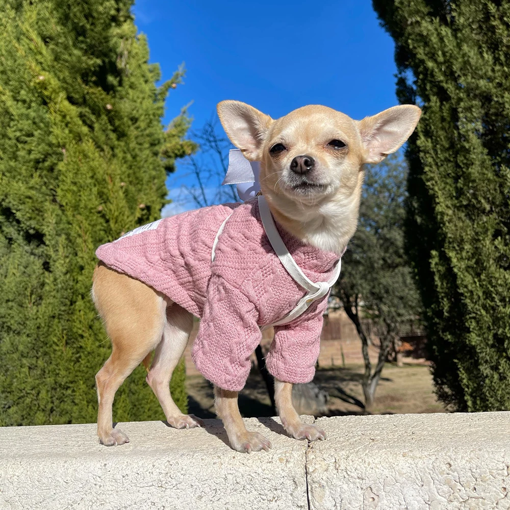 Ropa de invierno para perros, suéter de punto trenzado, ropa de cuello alto, Sudadera con capucha, prendas de punto para perros pequeños y medianos, jersey para cachorros salchicha, XS-XXL - imagen 3