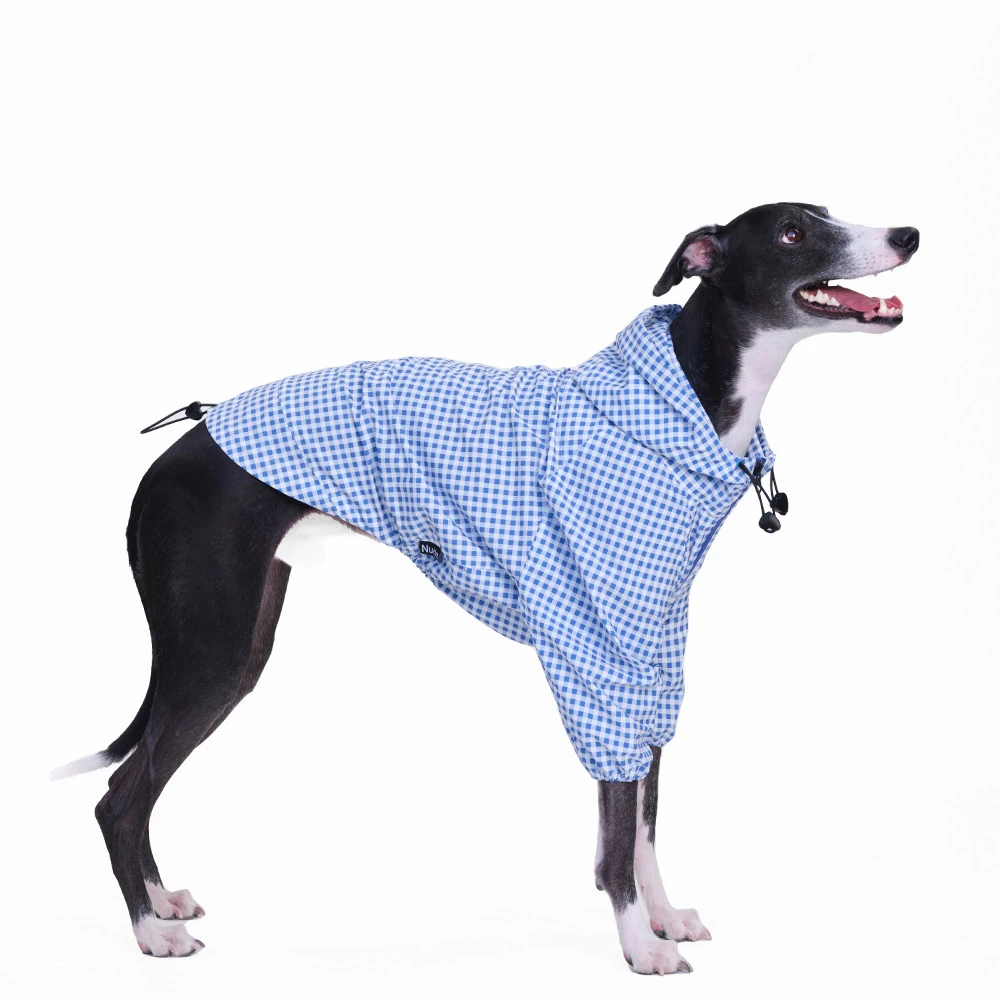 Chaqueta impermeable antiarañazos para perros Whippet y Galgo Italiano - imagen 2