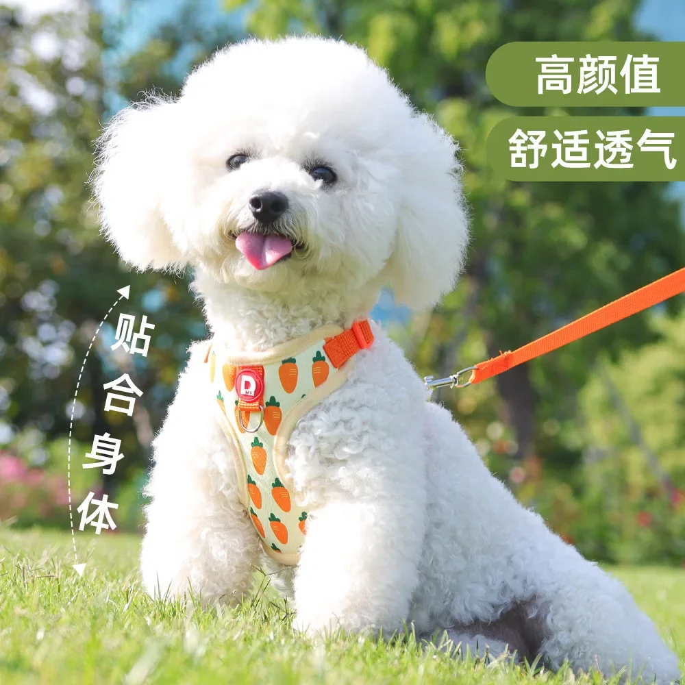 Correa extensible para perros – Estampado vibrante con cierre seguro - imagen 3