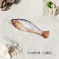 Small yellow croaker