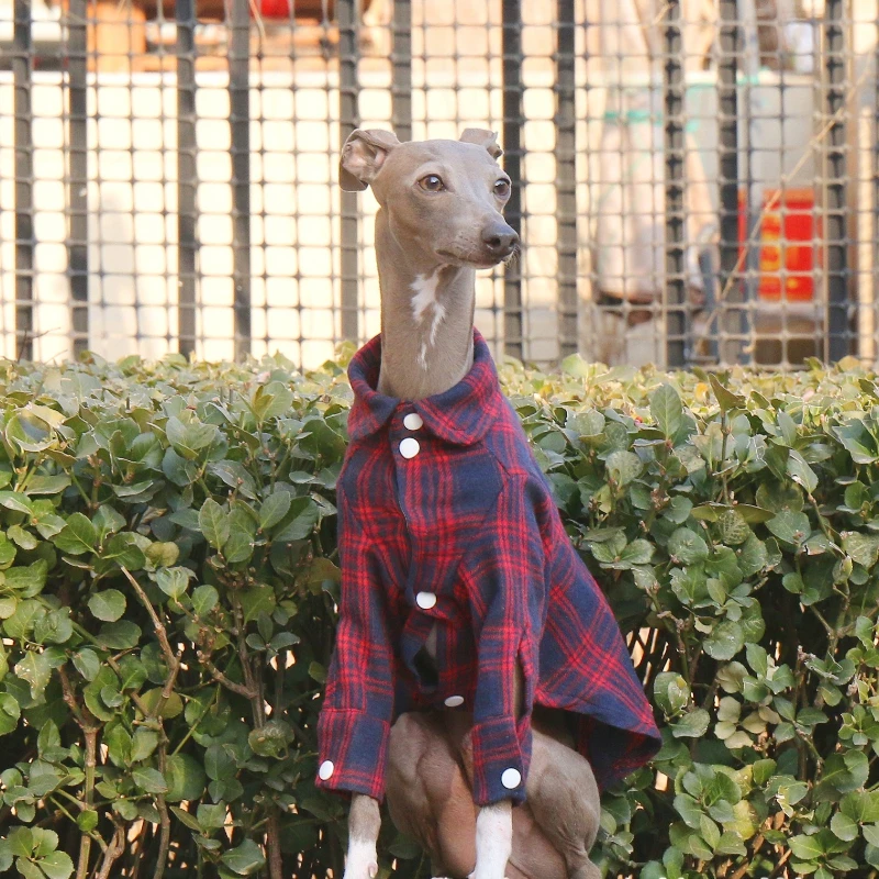 Red-Blue Plaid