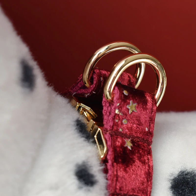 Collares de identificación personalizados para perros pequeños, medianos y grandes, vino tinto, logotipo grabado gratis, Cocker americano Spaniel Star 03 - imagen 3