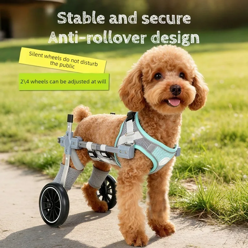 Silla de ruedas para perros con parálisis en patas traseras