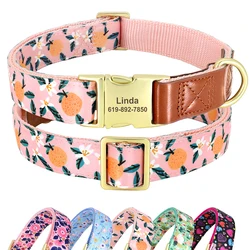 Collar nailon personalizado para perro – Identificación Pitbull y Pug