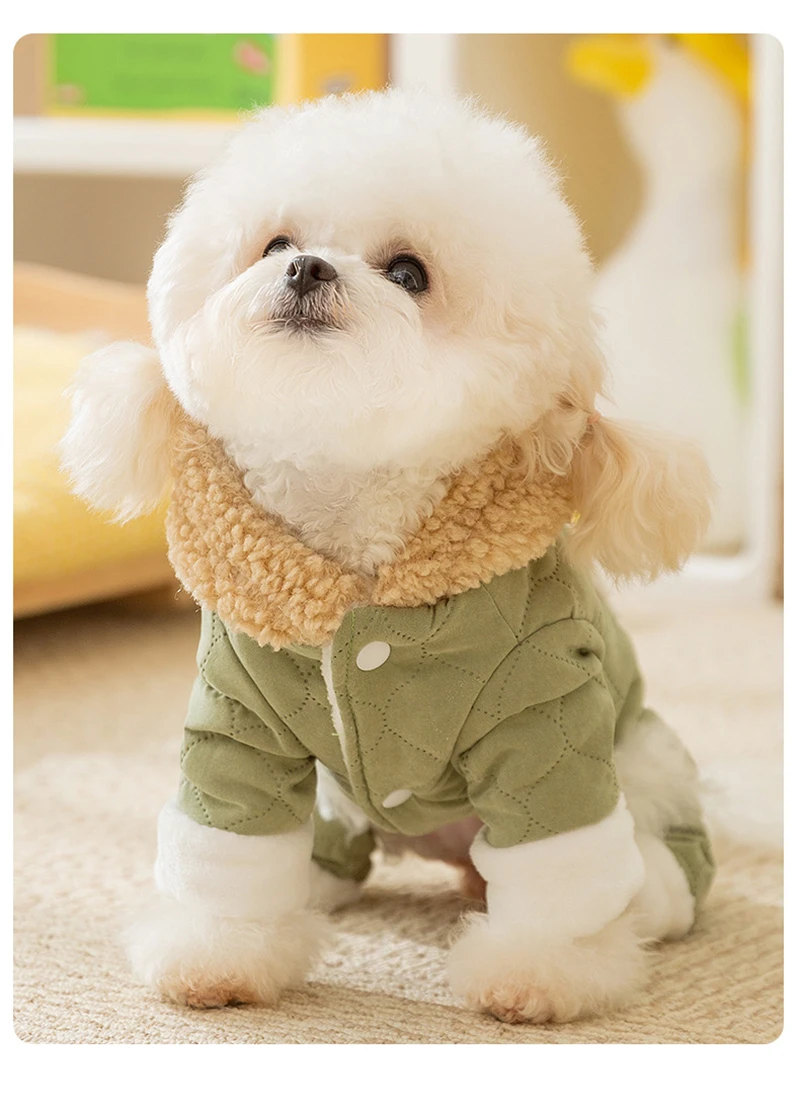 Sudadera invierno perro pequeño Teddy Chihuahua gruesa algodón viento - imagen 4