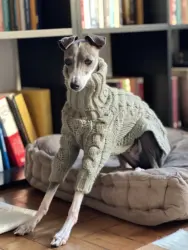 Suéter térmico para perros – Cuello alto acolchonado y ajuste cómodo