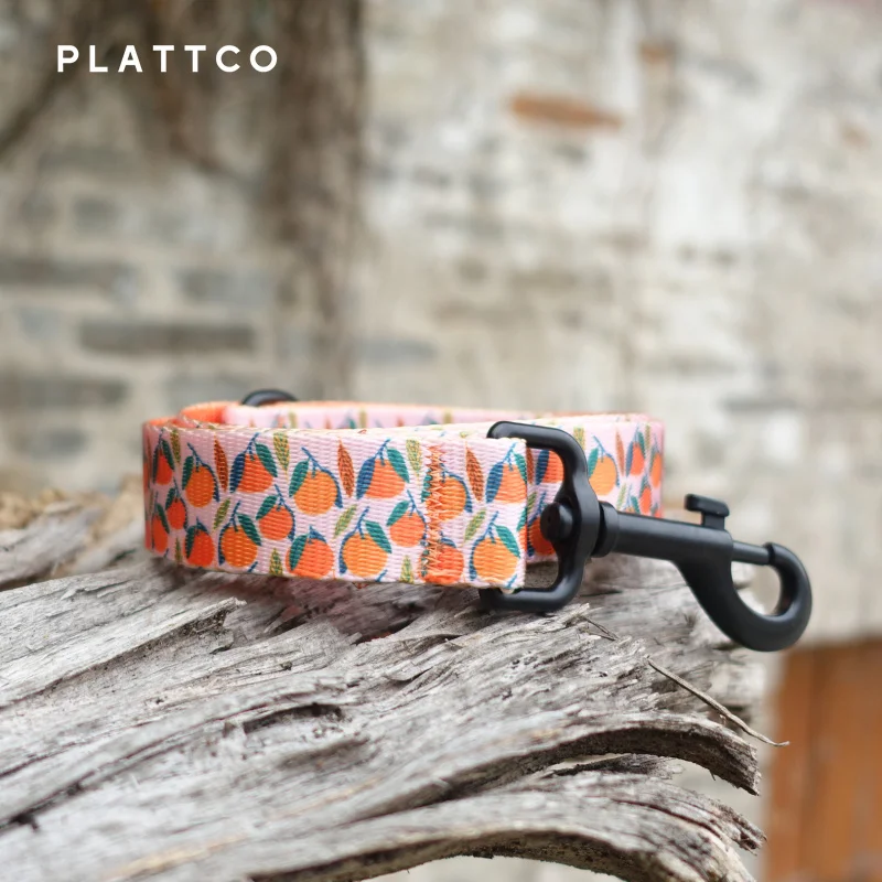 PLATTCO color de la correa para perro con estampado de mascotas nueva BANDA NARANJA personalizada para perros pequeños, medianos y grandes 5 tamaños PDL324 - imagen 2