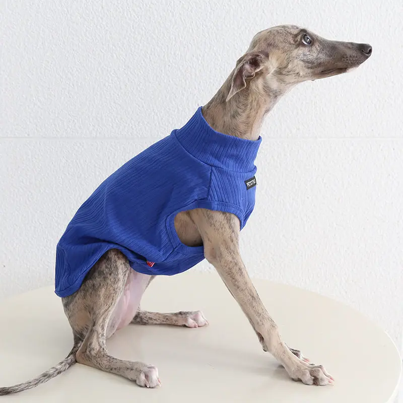 Chaqueta ligera para Whippet y Galgo Italiano – protección solar - imagen 3
