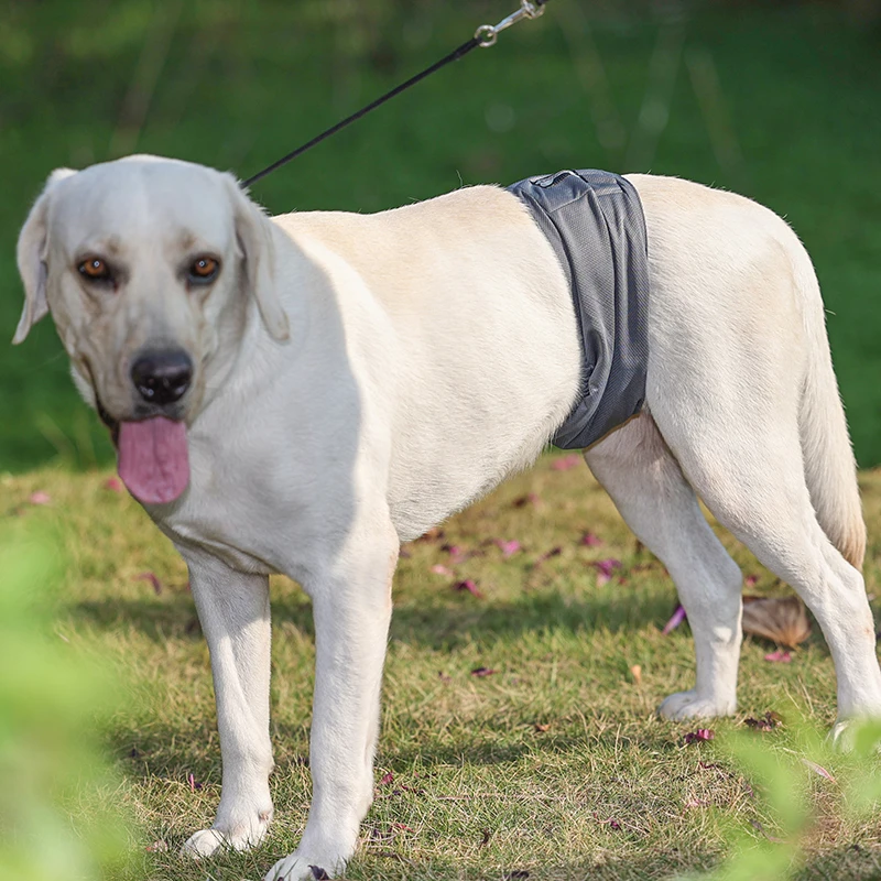 Pañal para perro reutilizable (paquete de 2), envoltura para el vientre para perro masculino de grafeno lavable, banda para la cintura absorbente antibacteriana para mascotas, pantalón sanitario a prueba de fugas - imagen 5