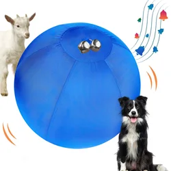 Pelota sonora para Border Collie y pastores – Juguete resistente con campana