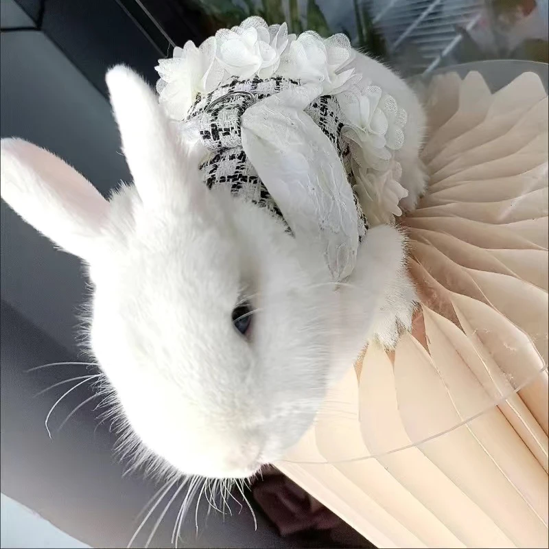 Conjunto de arnés y correa para conejitos y gatitos, arneses ajustables para mascotas para animales pequeños, conejitos, accesorios para caminar al aire libre - imagen 5