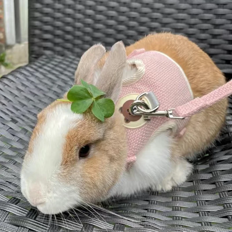 Conjunto de arnés y correa con estampado de dibujos animados para gatos y conejos, accesorios para mascotas, chaleco, ropa, accesorios para conejos - imagen 5